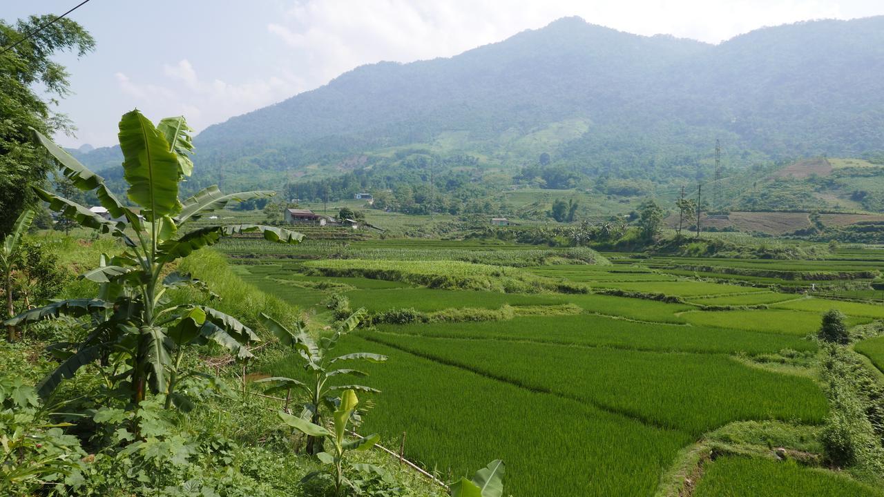 Thac Ba Family Homestay Ho To Exteriör bild