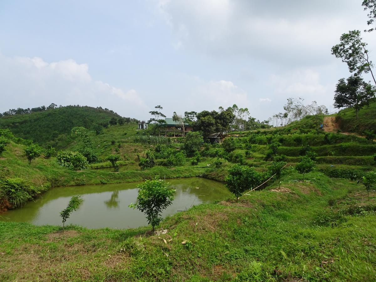 Thac Ba Family Homestay Ho To Exteriör bild